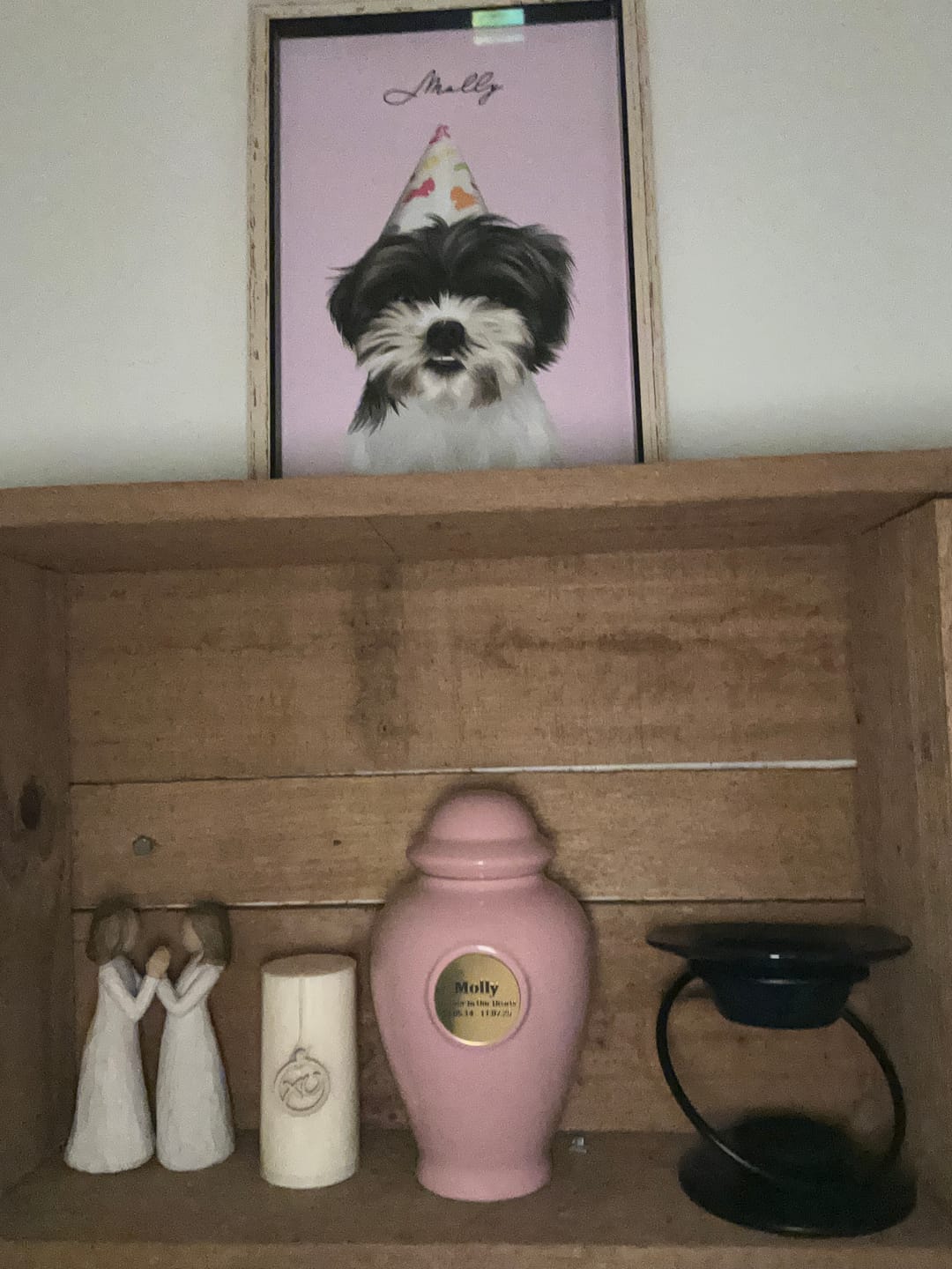 Customer photo review of Custom Pet Portrait - One Pet