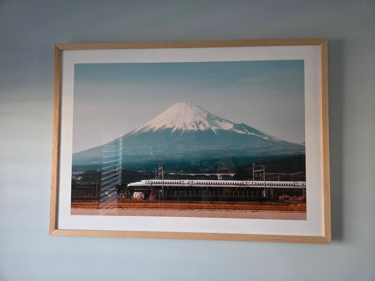 Customer photo review of Mt Fuji Shinkansen