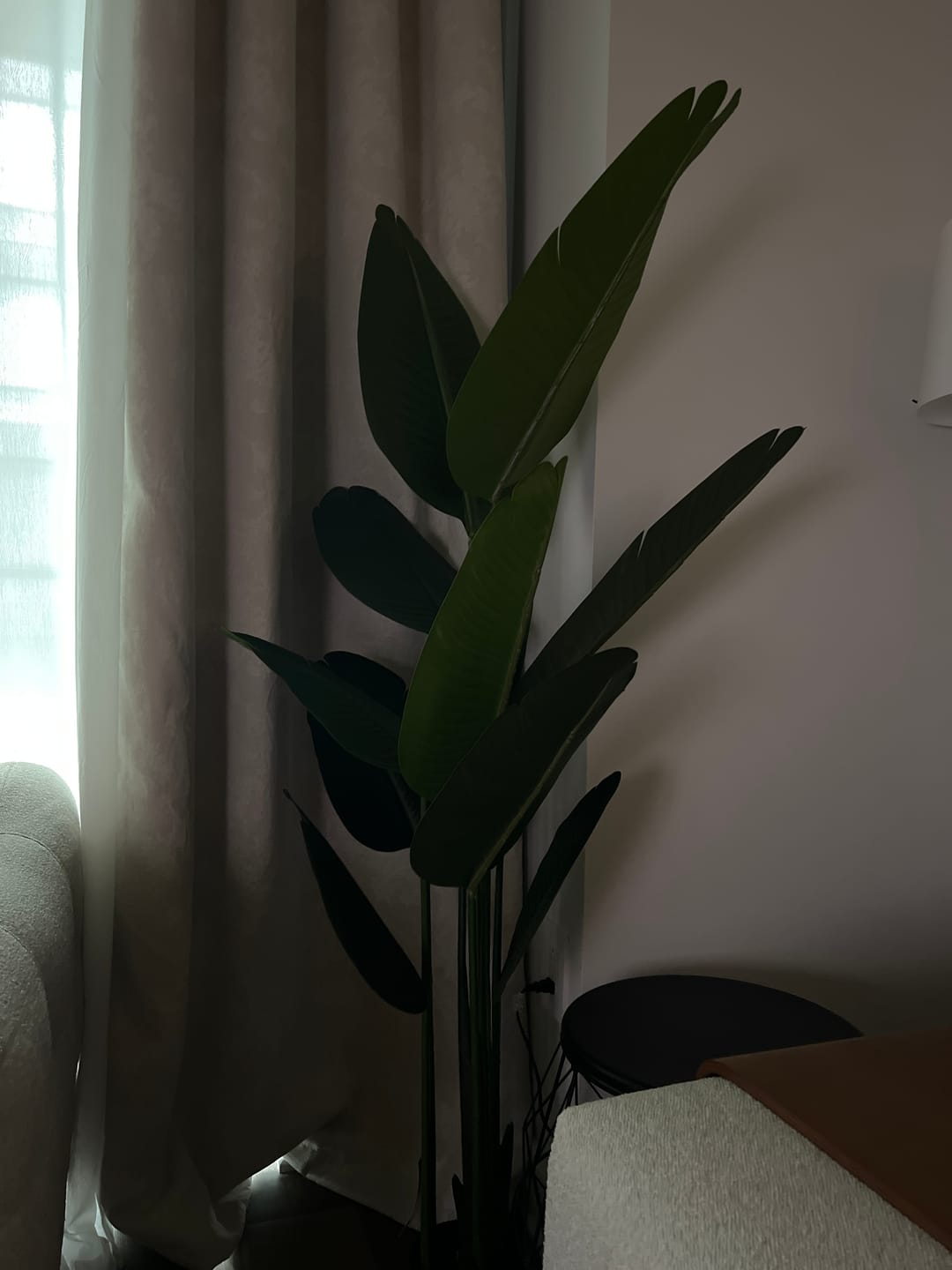 Customer photo review of PALOMA - Plante artificielle tropicale