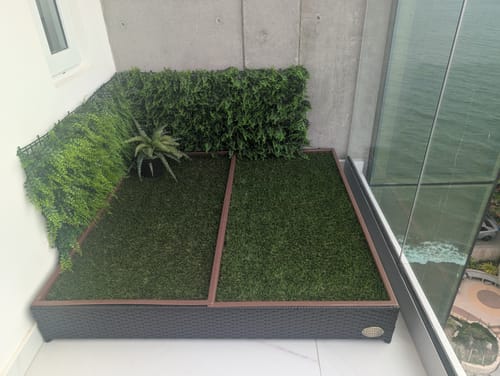Customer's Porch Potty MEGA set up on a high-rise condo deck, decorated with faux wall plants.