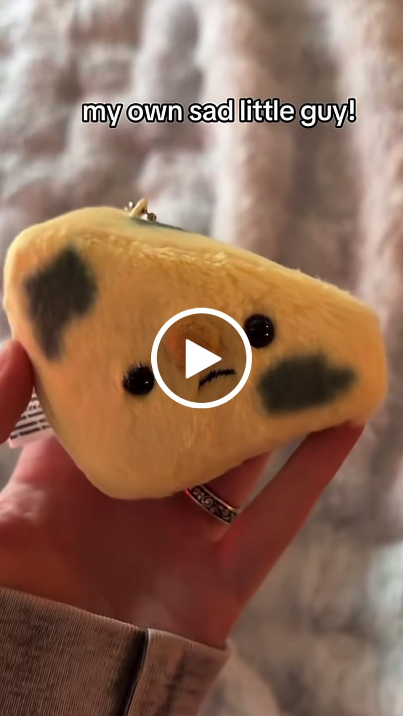 Customer video review of Forgotten Moldy Parmesan Cheese