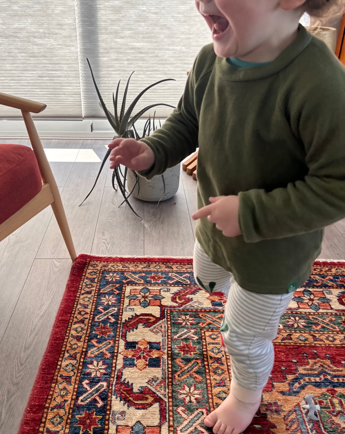 Customer photo review of Chive Waffle Long Sleeve Cosy Top