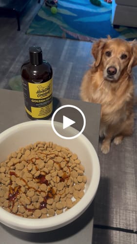 Customer video review of Golden Gravy