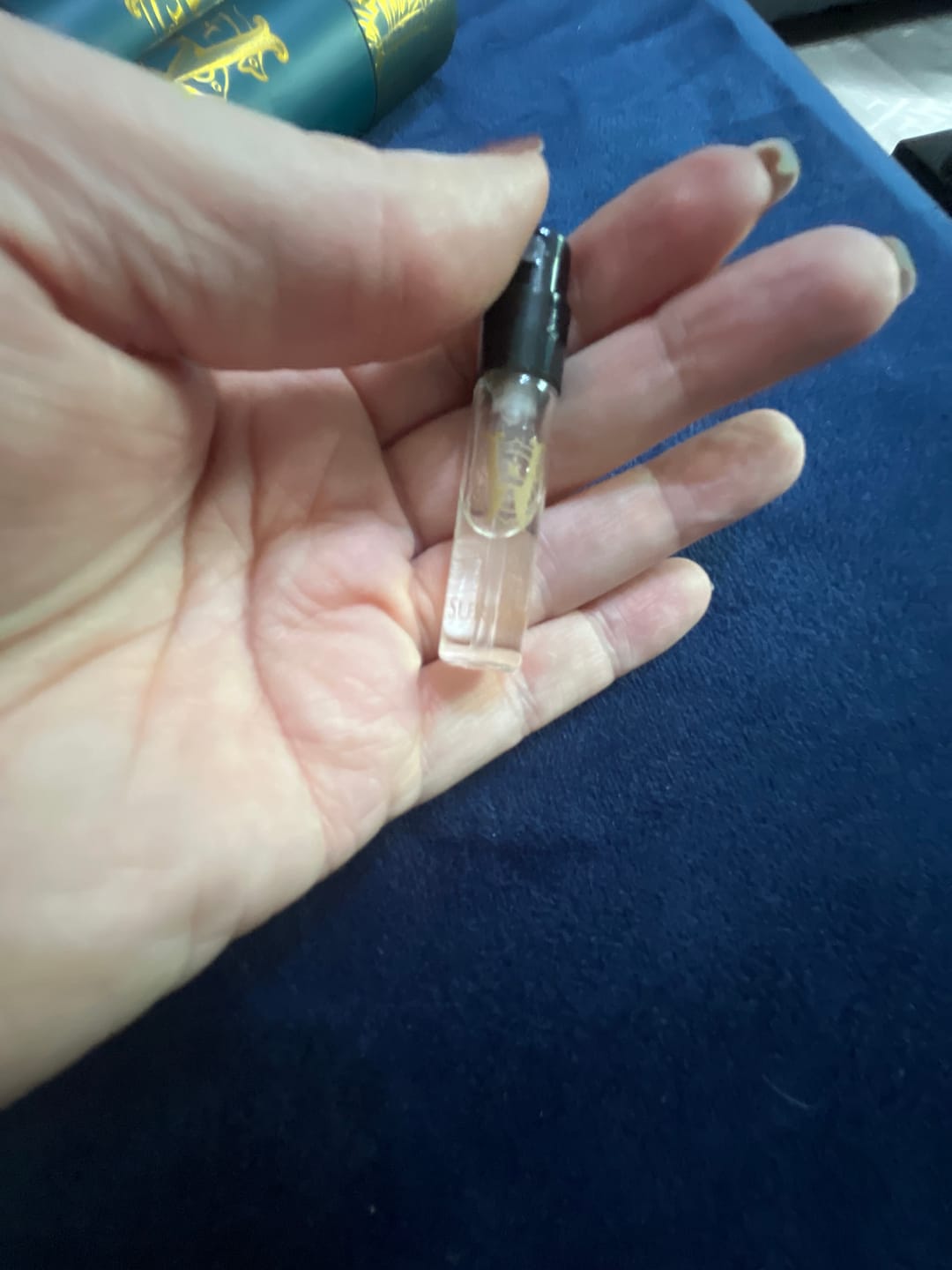 Customer photo review of Surfari