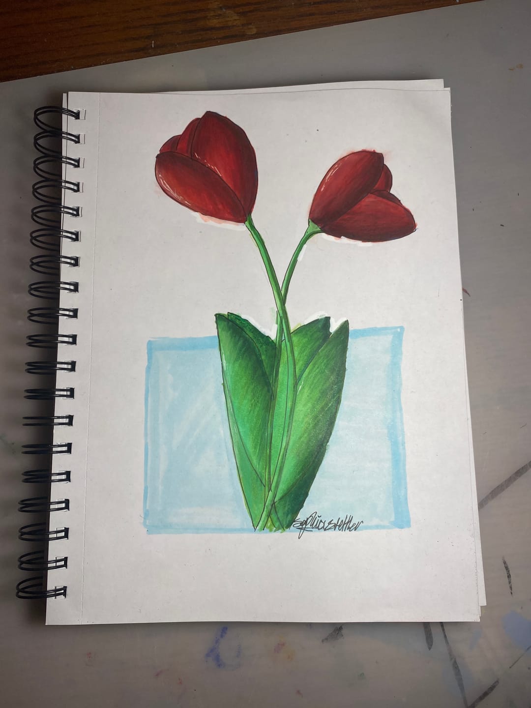 Customer photo review of Ohuhu Bleedproof Double-Sided Marker Pad, Spiral-Bound