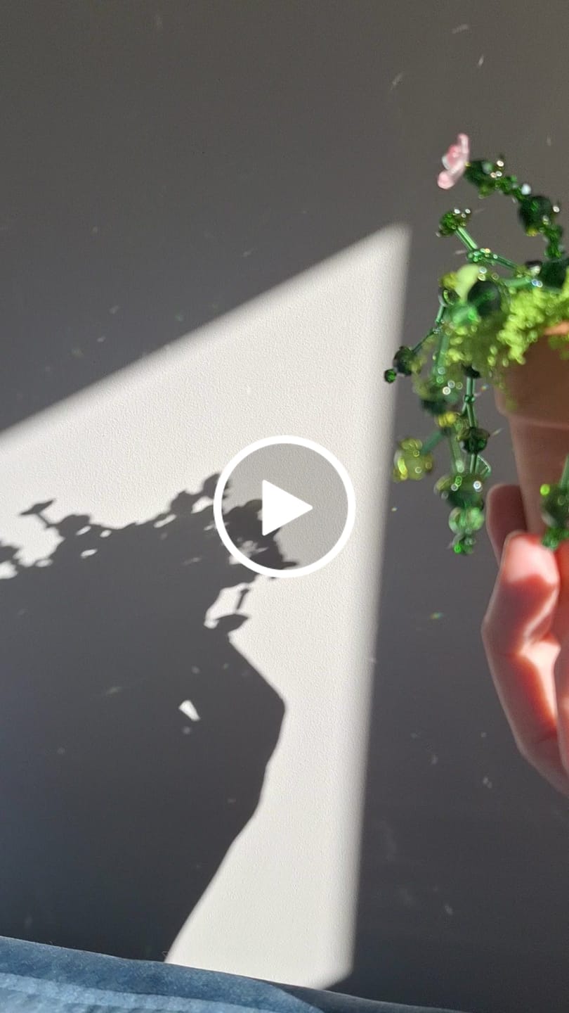 Customer video review of Workshop: Maak je eigen kralenplantje (meest gekozen)