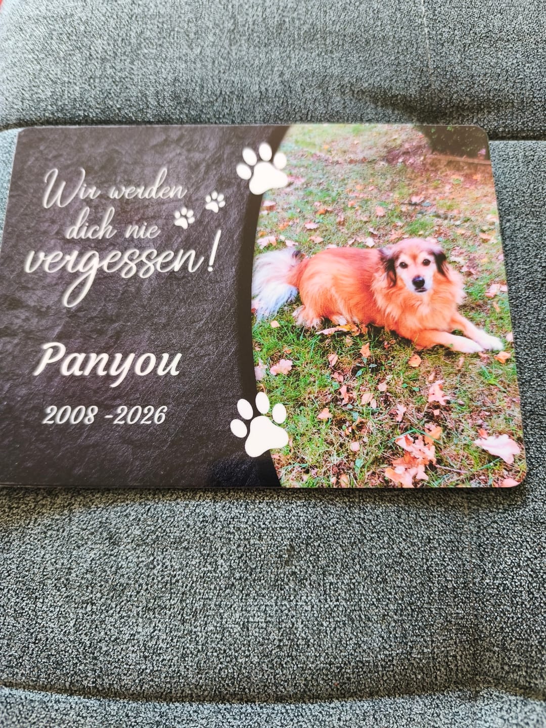Customer photo review of Hunde Gedenktafel mit Foto & Spruch (UV- &  Wetterfest)