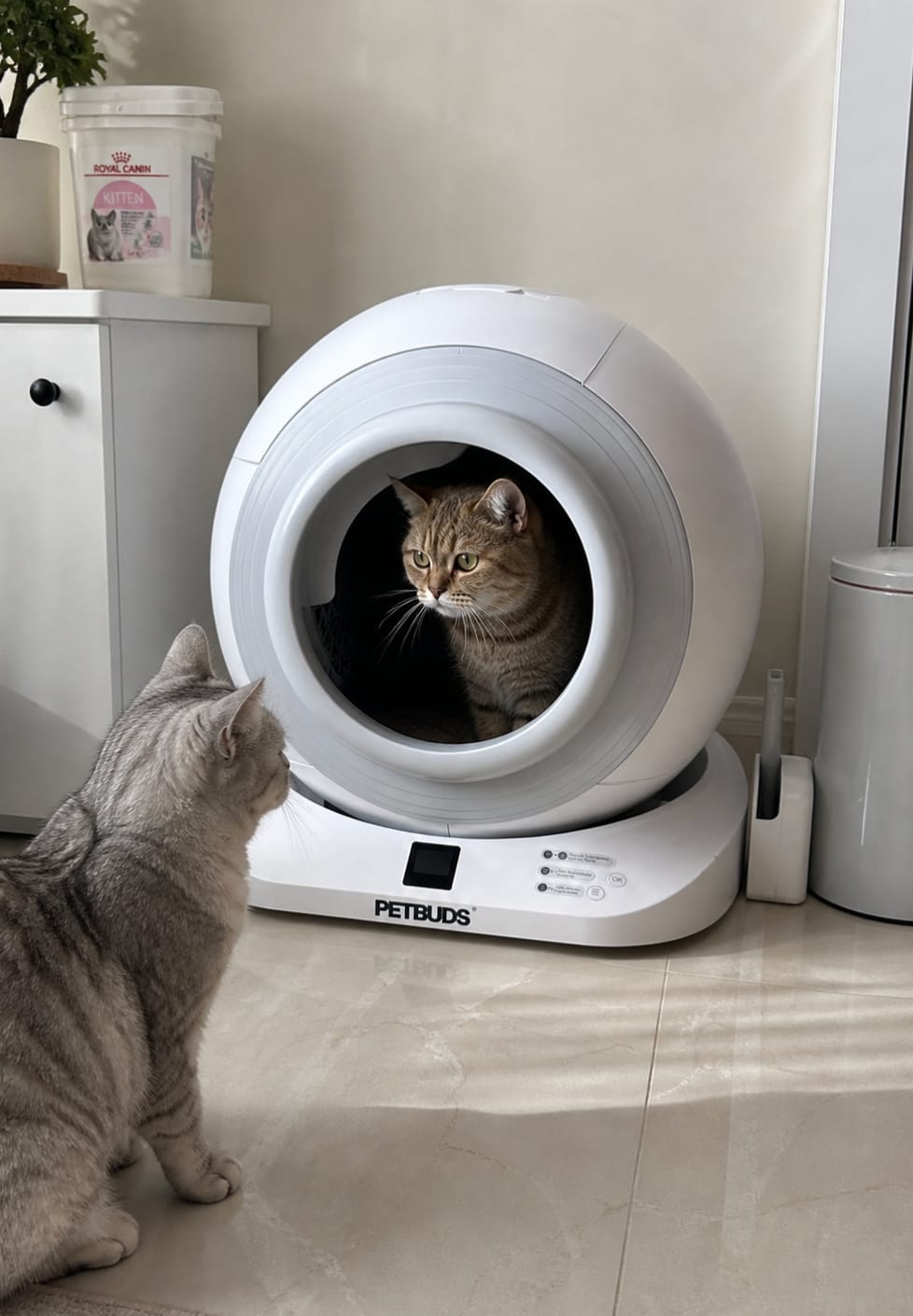 Customer photo review of The Petbuds Tonepie Q-CLEAN Automatic Self-Cleaning Litter Box