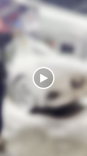 Customer video review of Armour Quartz Coating
