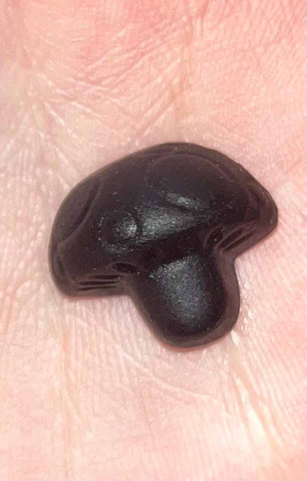 Customer photo review of Vitalpilz Mind Gummies