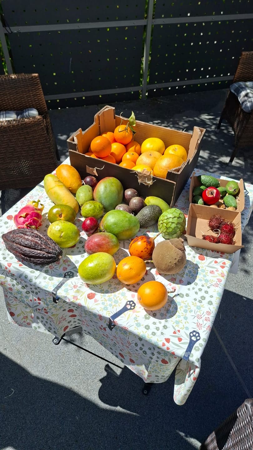 Customer photo review of Mango-Trio Mix-Box 2kg Sonderaktion %