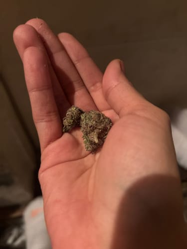 Customer photo review of Girl Scout Cookies Smalls