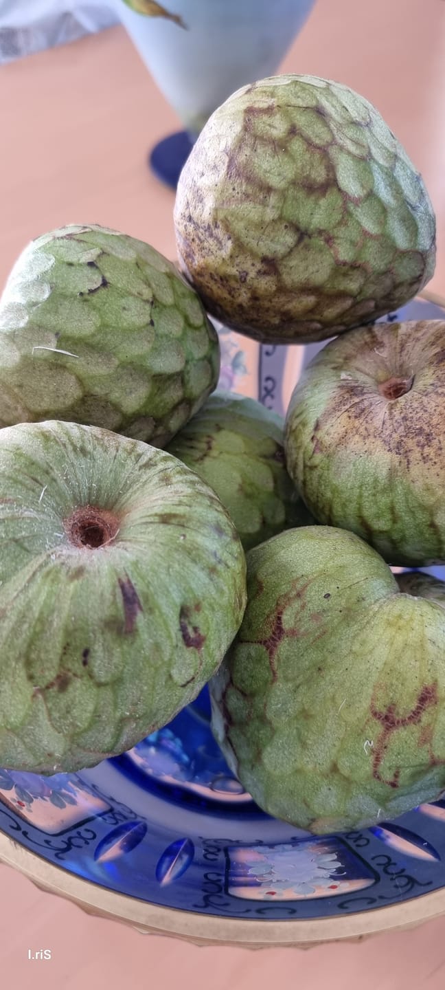 Customer photo review of Cherimoya Bio Hochernte-Retterbox Sonderaktion % 4kg