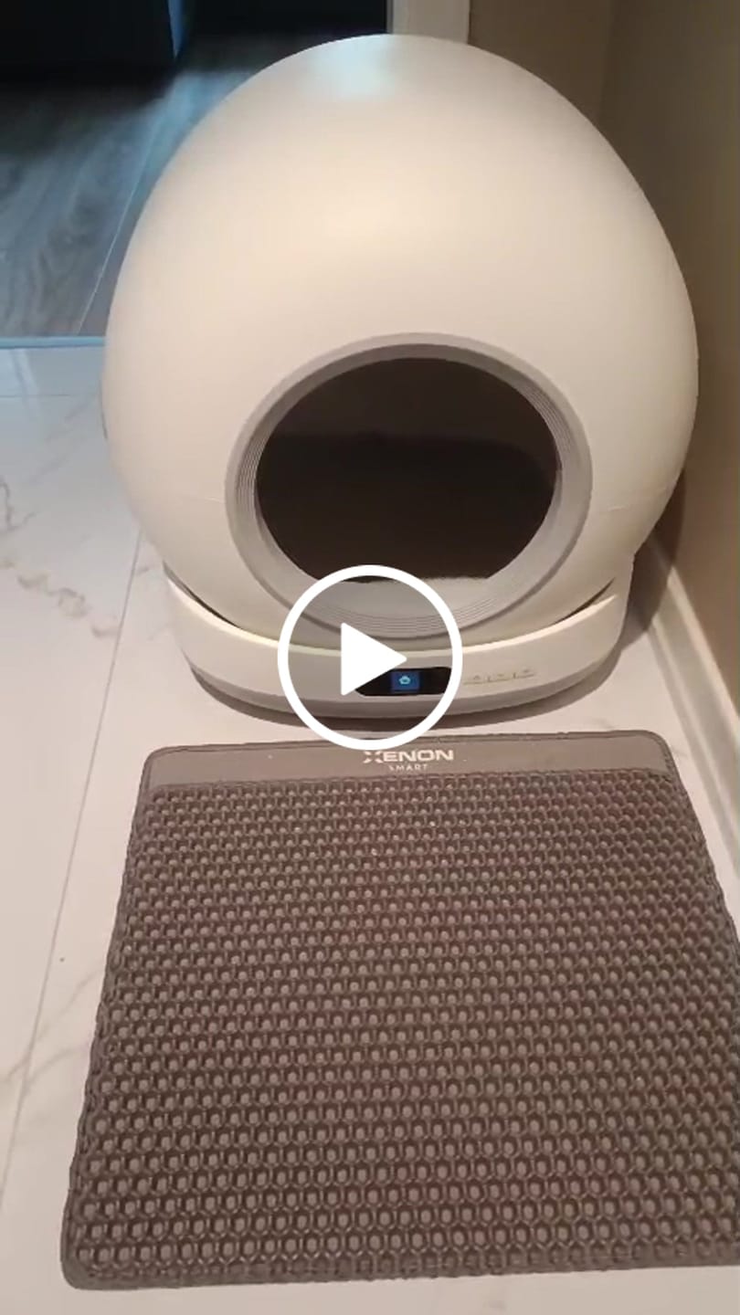 Customer video review of Otomatik Kedi Tuvaleti | 72L, 7L Atık Hazneli, UV, Wifi, Mobil Kontrol, Akıllı Kedi Tuvaleti (X8624)