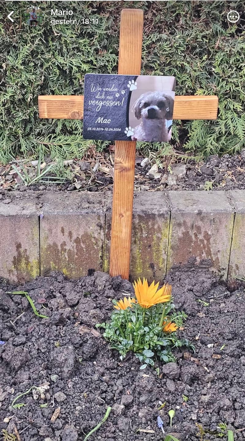 Customer photo review of Hunde Gedenktafel mit Foto & Spruch (UV- &  Wetterfest)