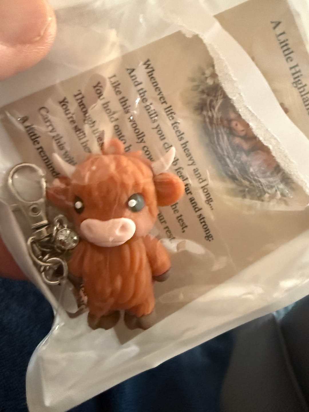 Customer photo review of 🐮A Little Highland Cow For You Keychain: Your Daily Reminder of Quiet Strength