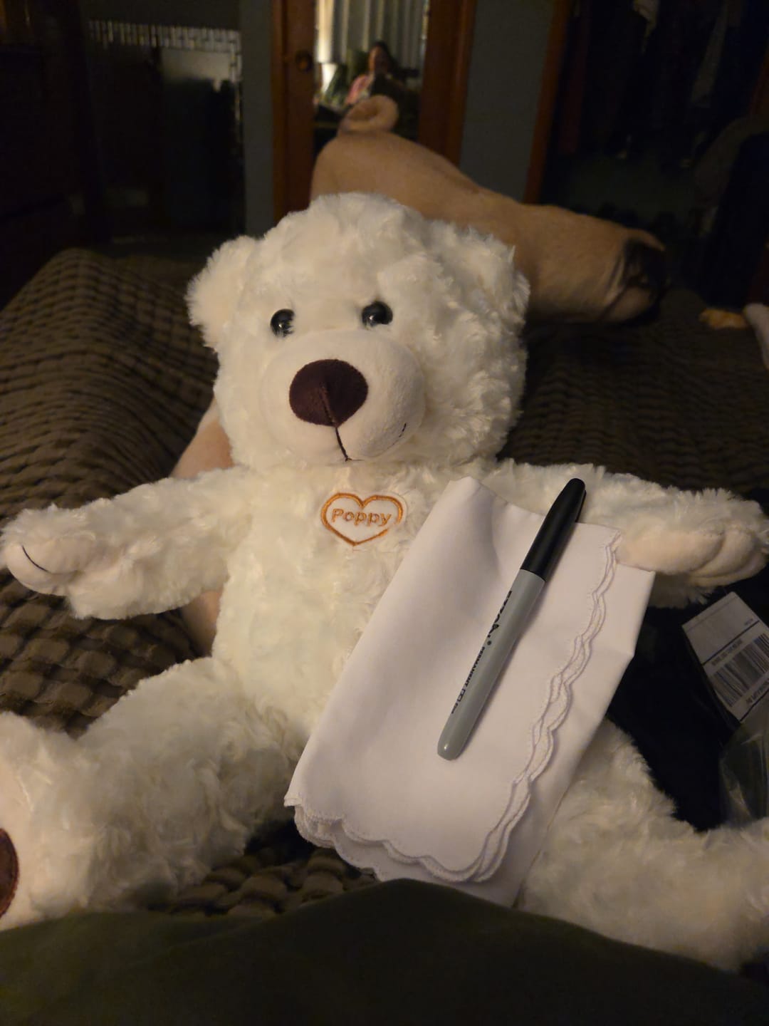 Customer photo review of Snowy Blessing Bear™