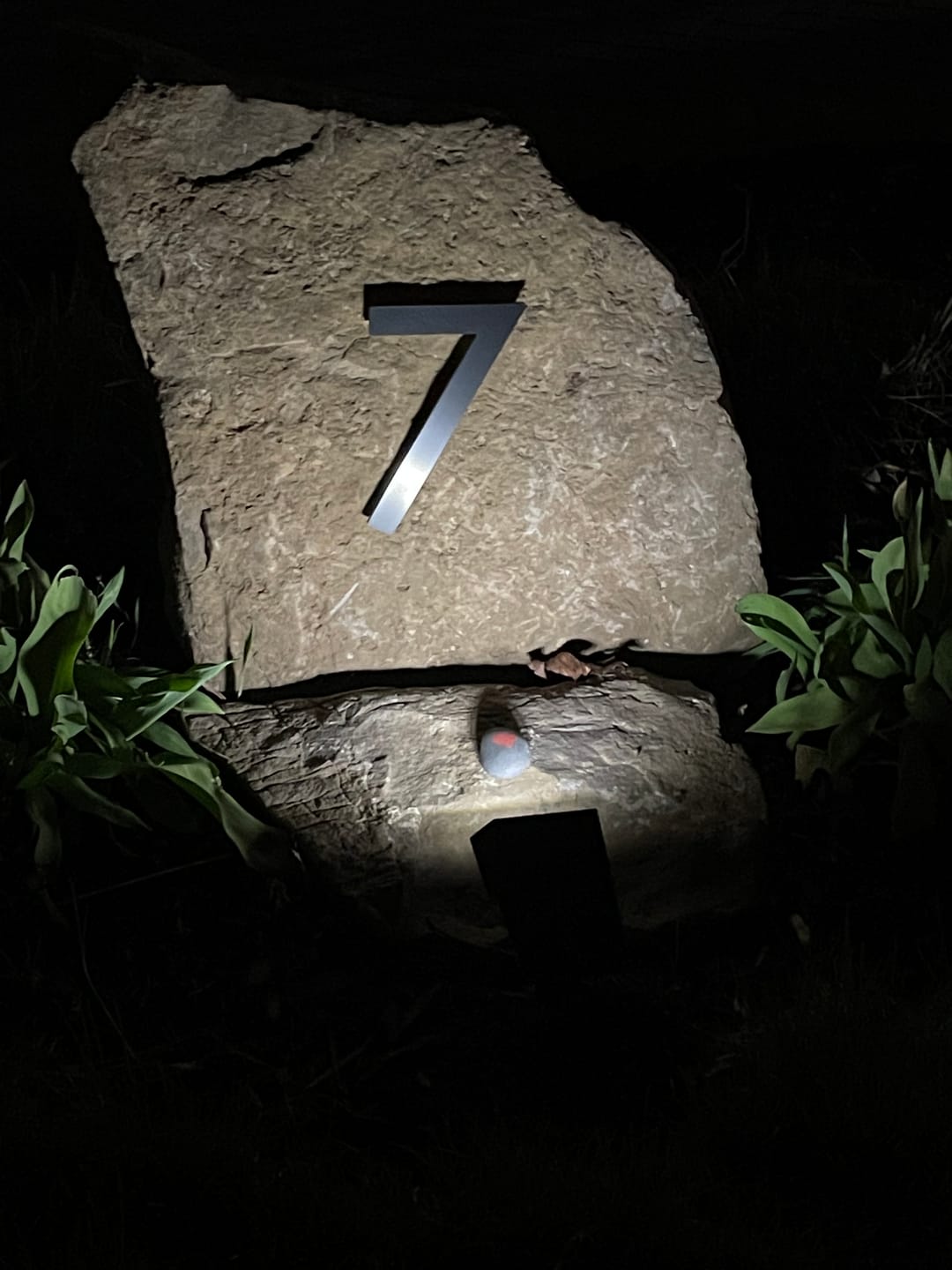Customer photo review of BigM 20 LED Cool White Wireless Solar Spotlights for Landscape Gardens