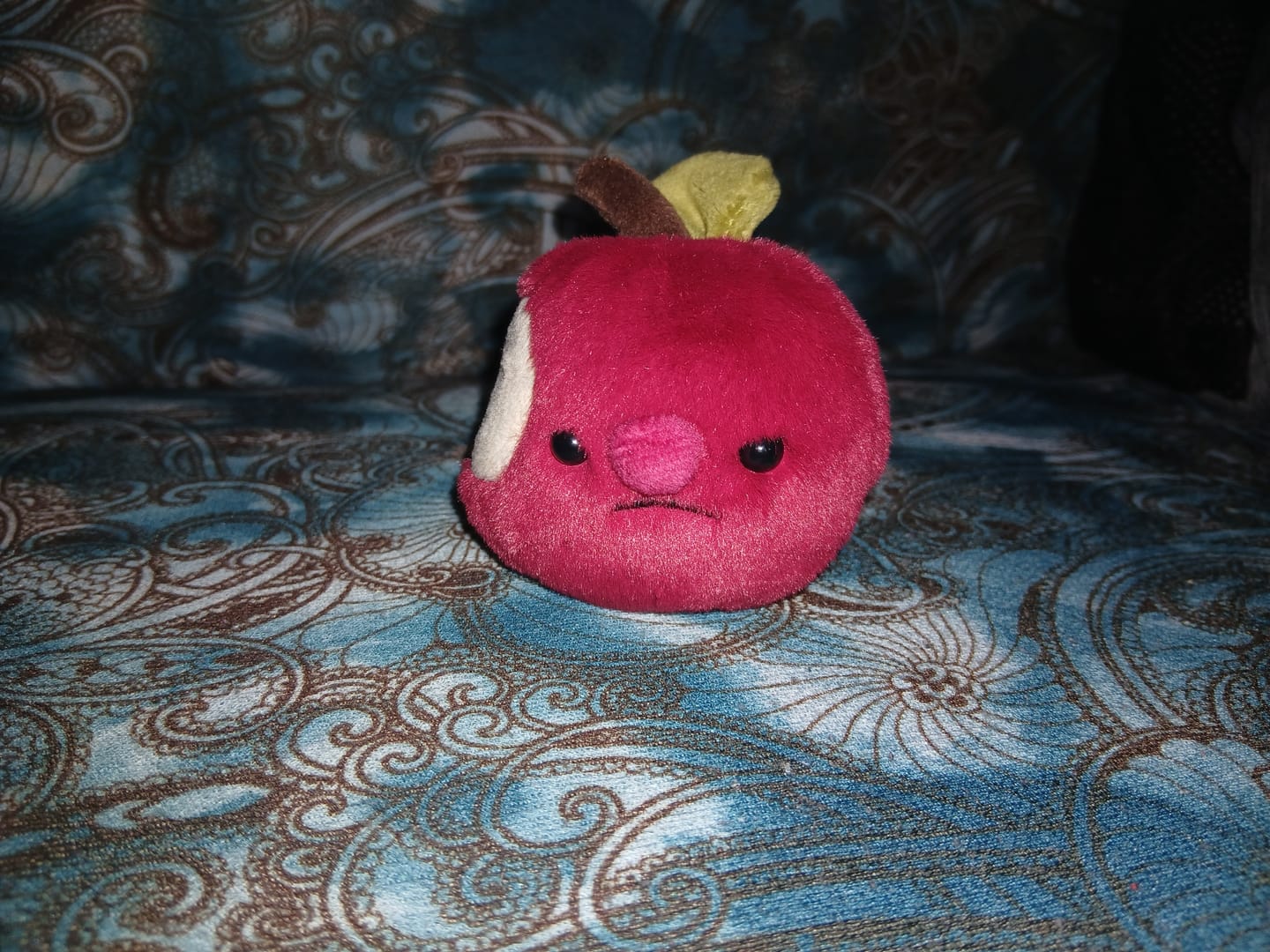 Customer photo review of Misfit Adoption Bag (2 Mystery Plushies)