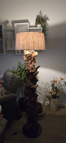 Kunde zeigt die beleuchtete CLEON Treibholz-Stehlampe in seinem Wohnzimmer.