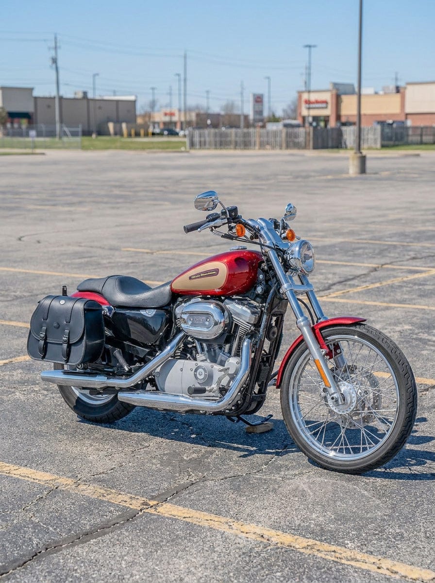 Customer photo review of 30L - Ghost Large Shock Cutout Motorcycle Saddlebags For Harley Sportster 883 Custom XL883C