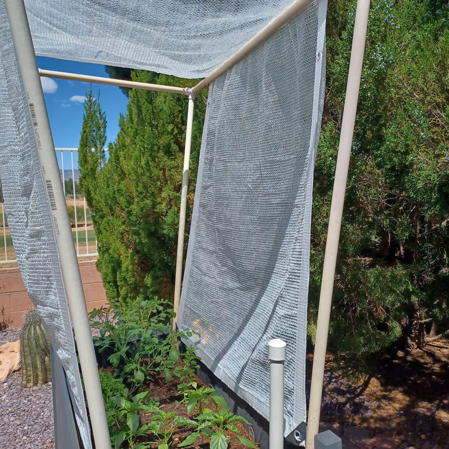 Customer photo review of 40% Shade Cloth