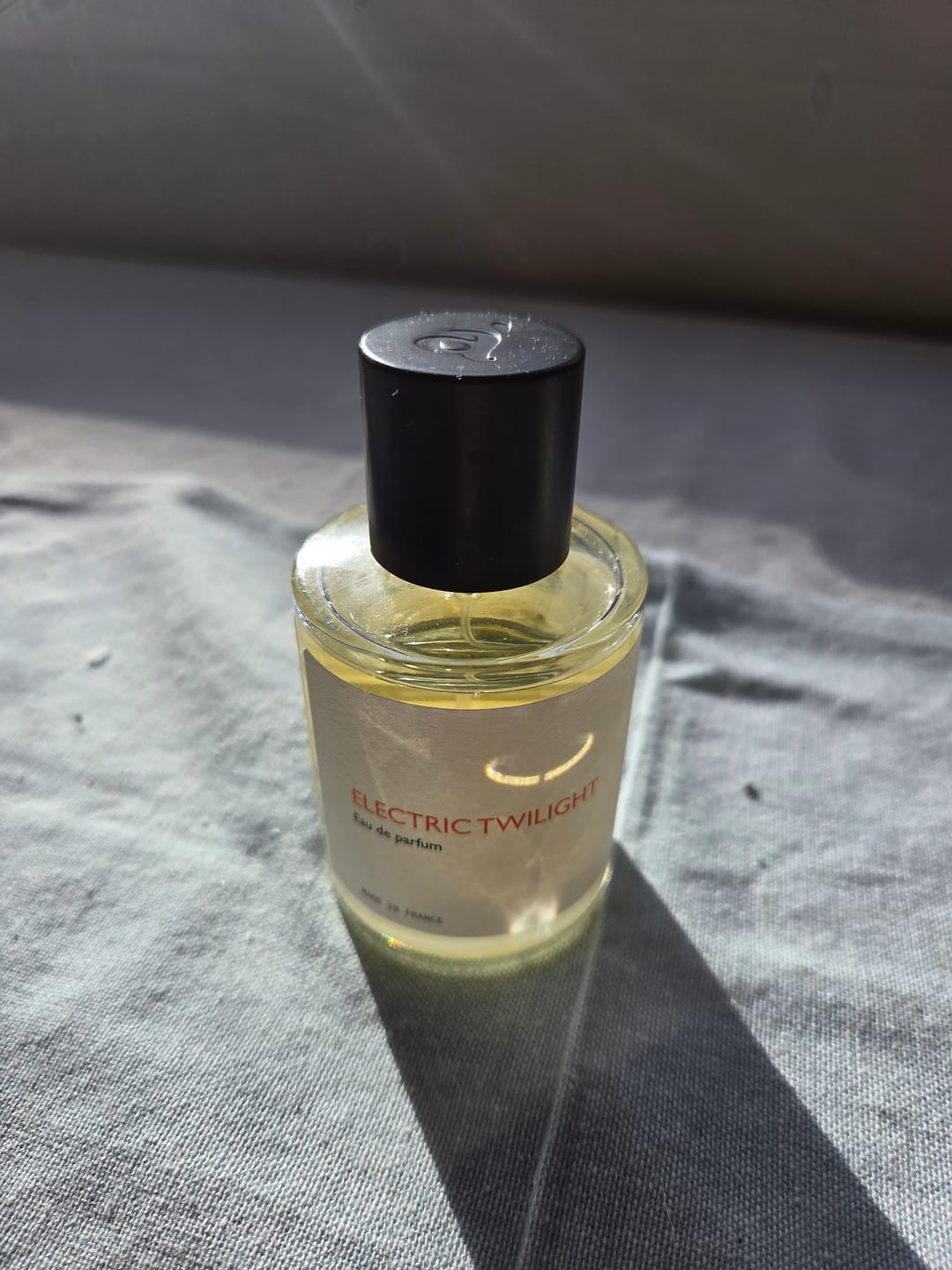 Customer photo review of Electric Twilight