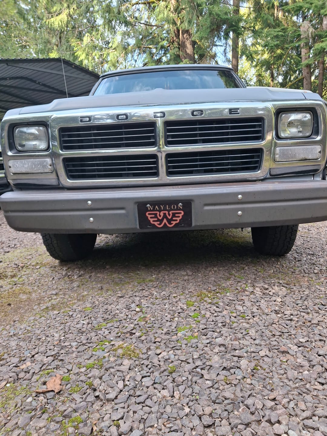 Customer photo review of Waylon Jennings Flying W License Plate