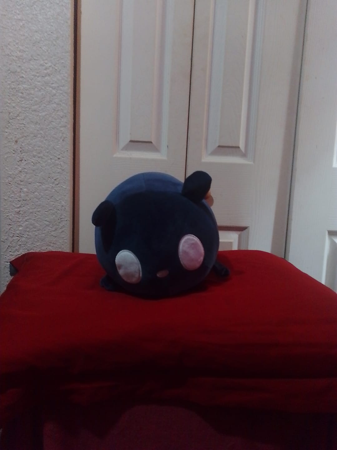 Customer photo review of Rain World - Watcher Slugcat Pillow Plush