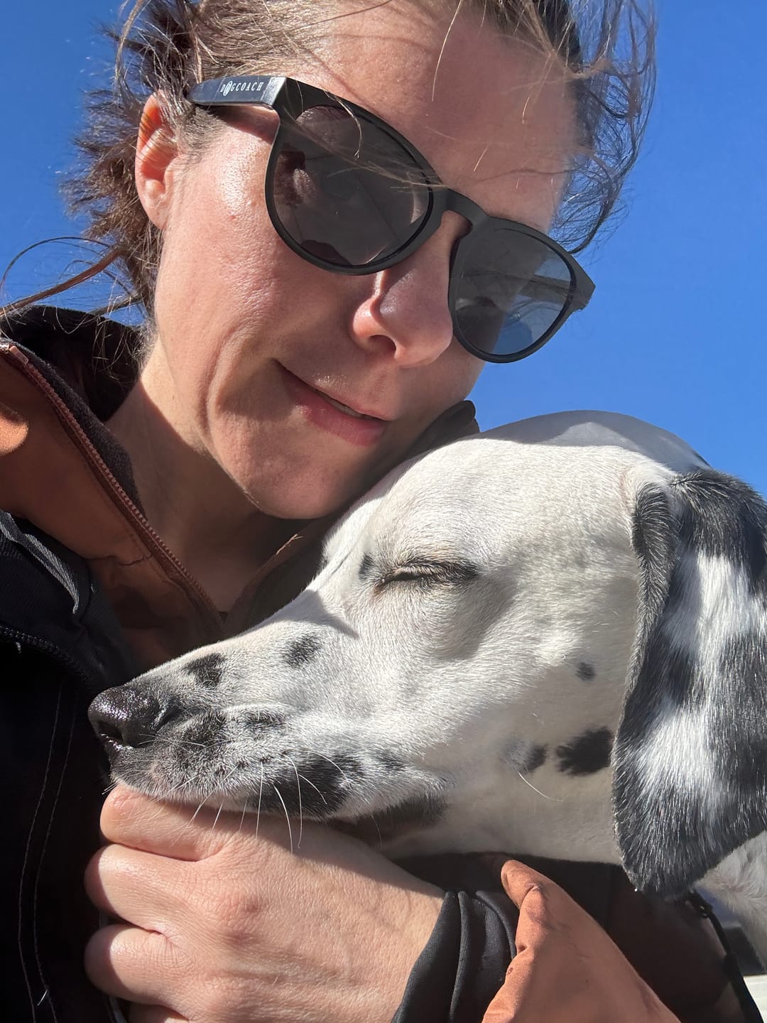 Customer photo review of DogCoach Solbriller