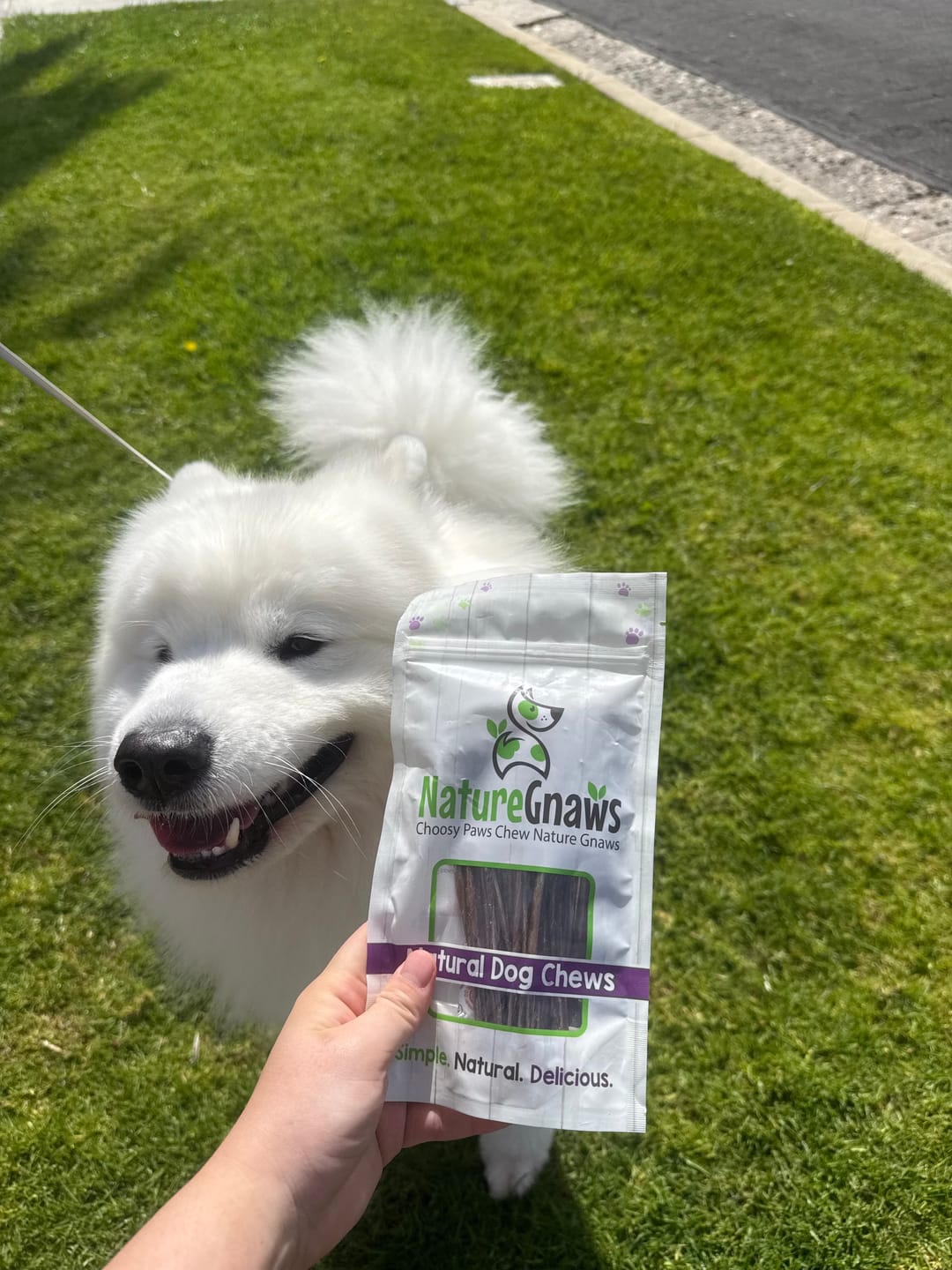 Customer photo review of Pork Bully Sticks 5–6" Long-Lasting Dog Chews