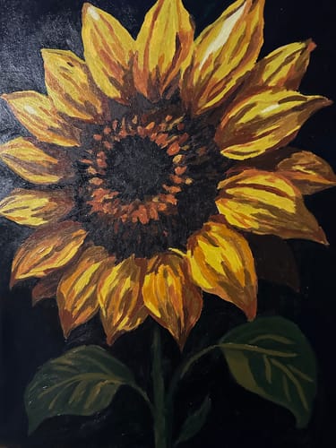 Customer photo review of Radiant Sunflower