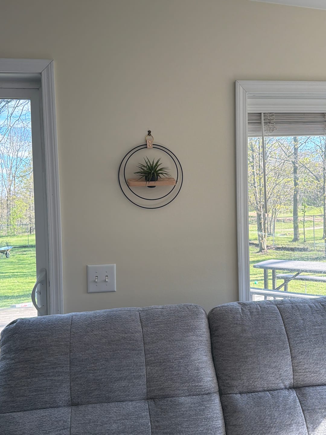 Customer photo review of Air Plant