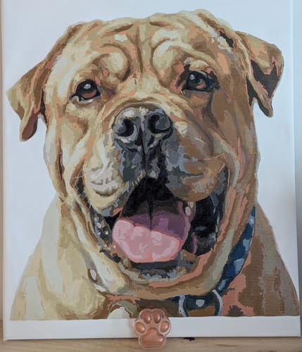 Customer's completed portrait from a Custom Paint by Numbers Kit, showing a happy, tan dog with its tongue out.