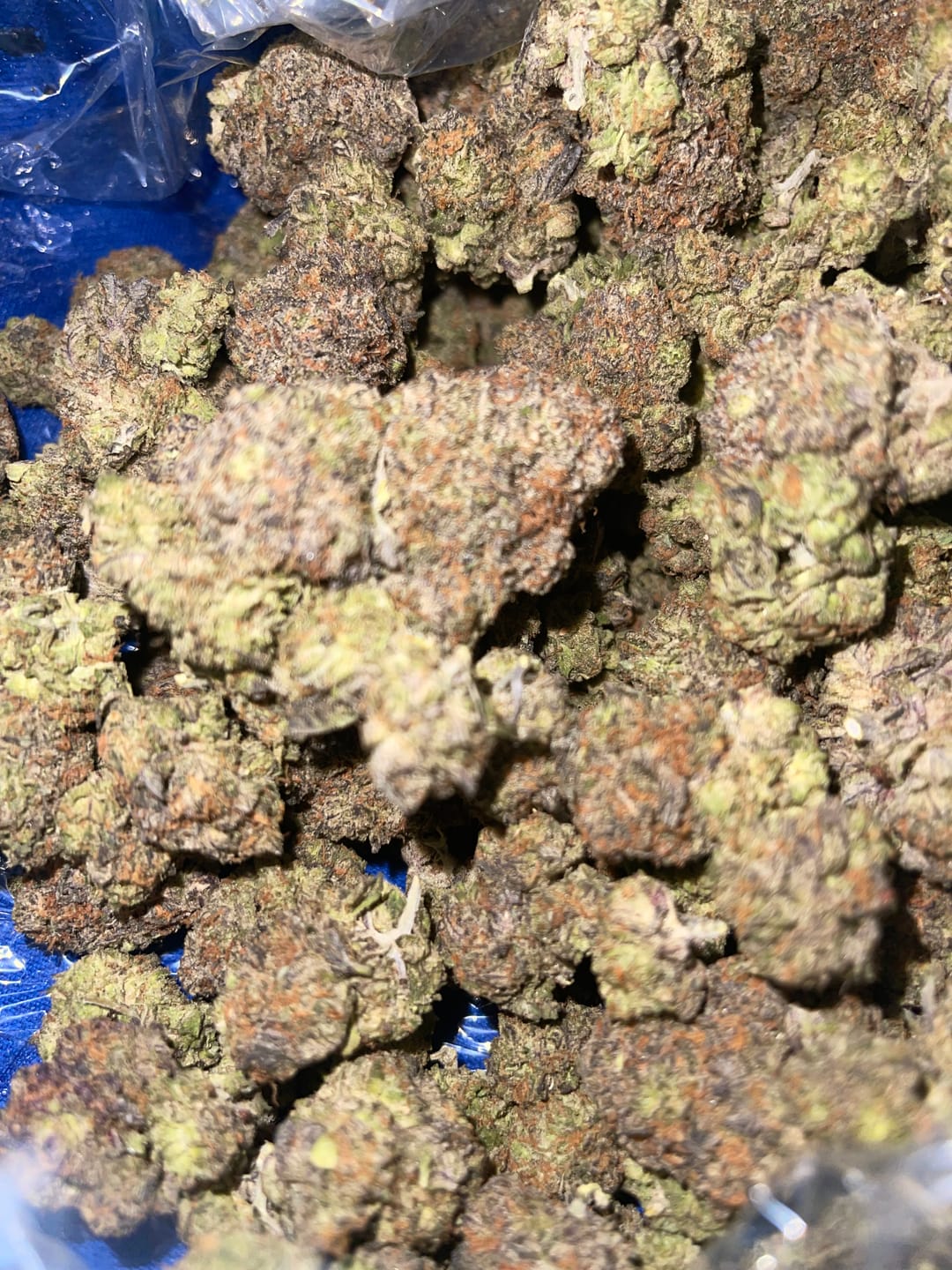 Customer photo review of Platinum Bubba Indoor - Bulk - Indica