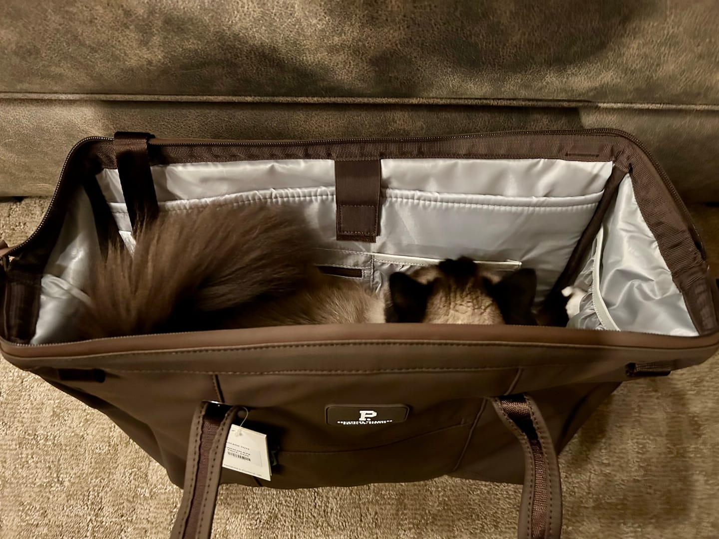 Customer photo review of Cascade Tote - Standard