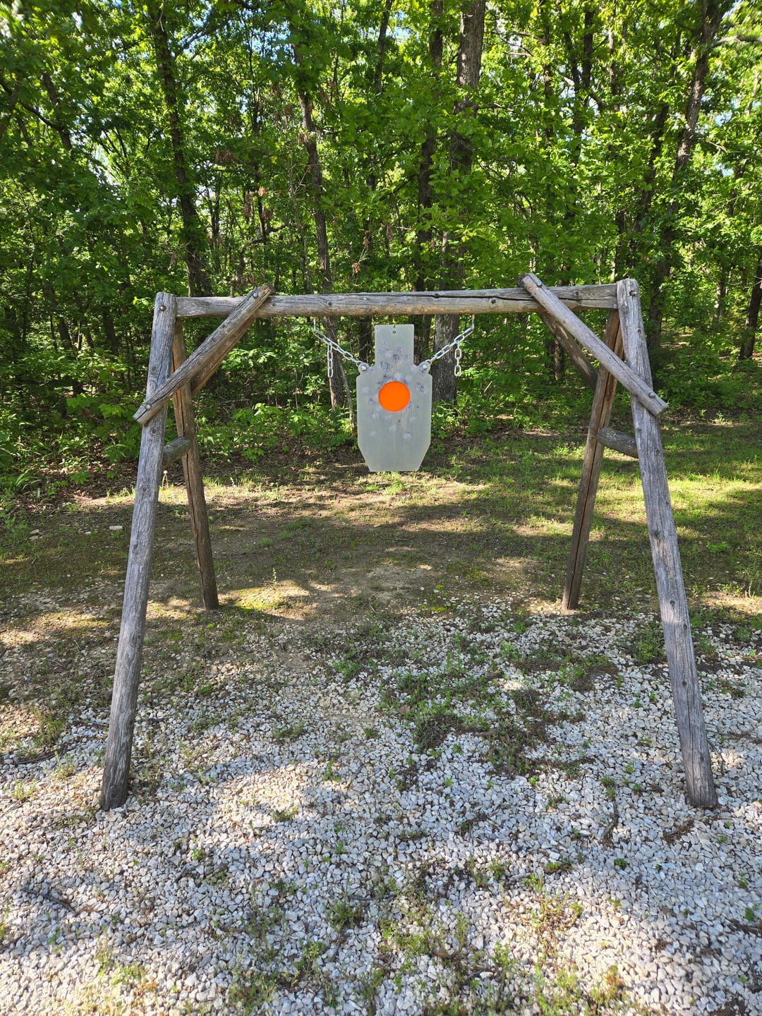 Customer photo review of Bullseye Silhouette Targets
