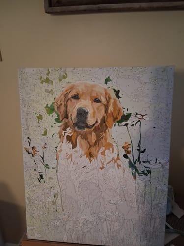 Customer photo review of Gentle Retriever