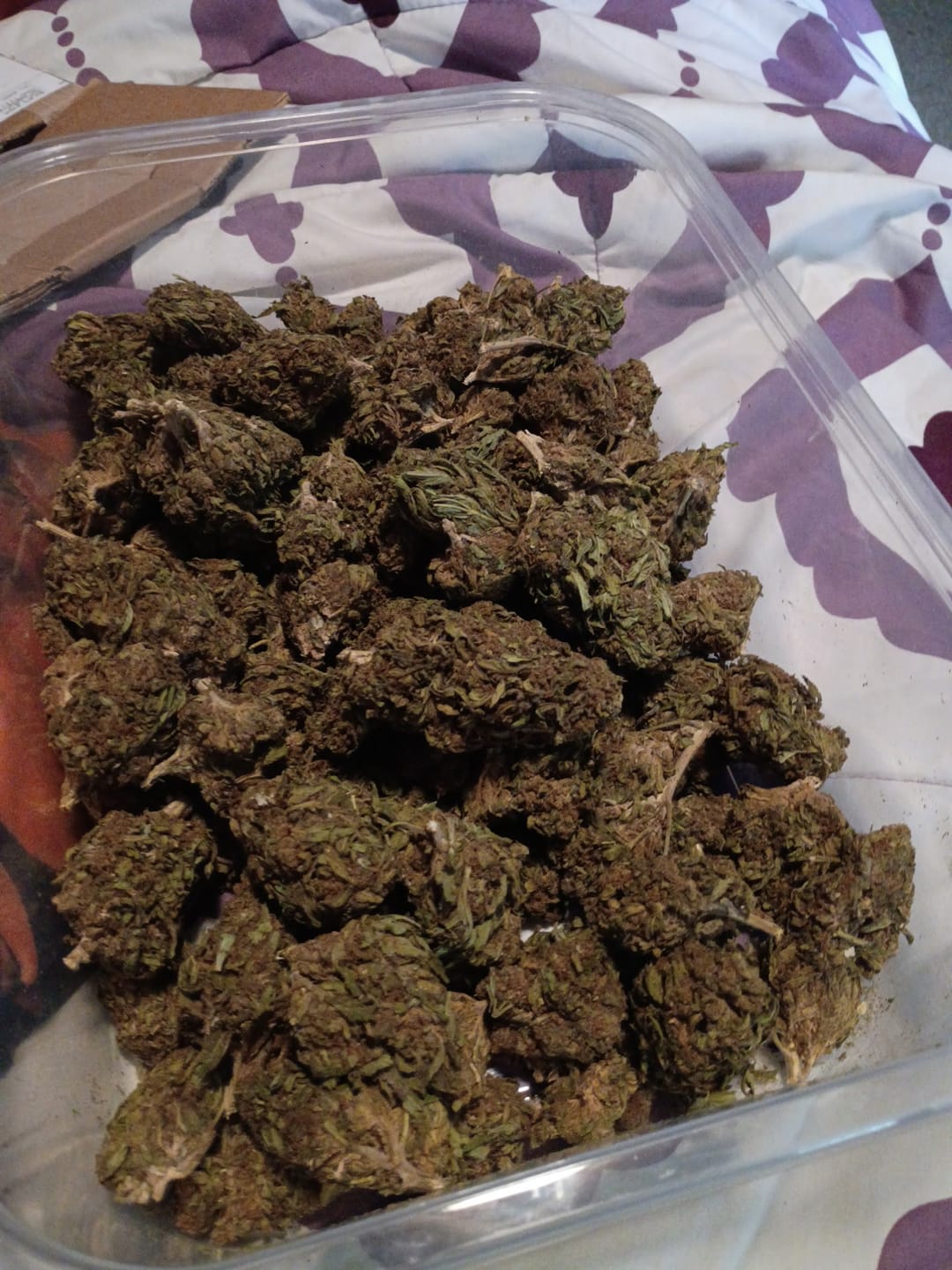 Customer photo review of Butterscotch OG - Bulk - Indica