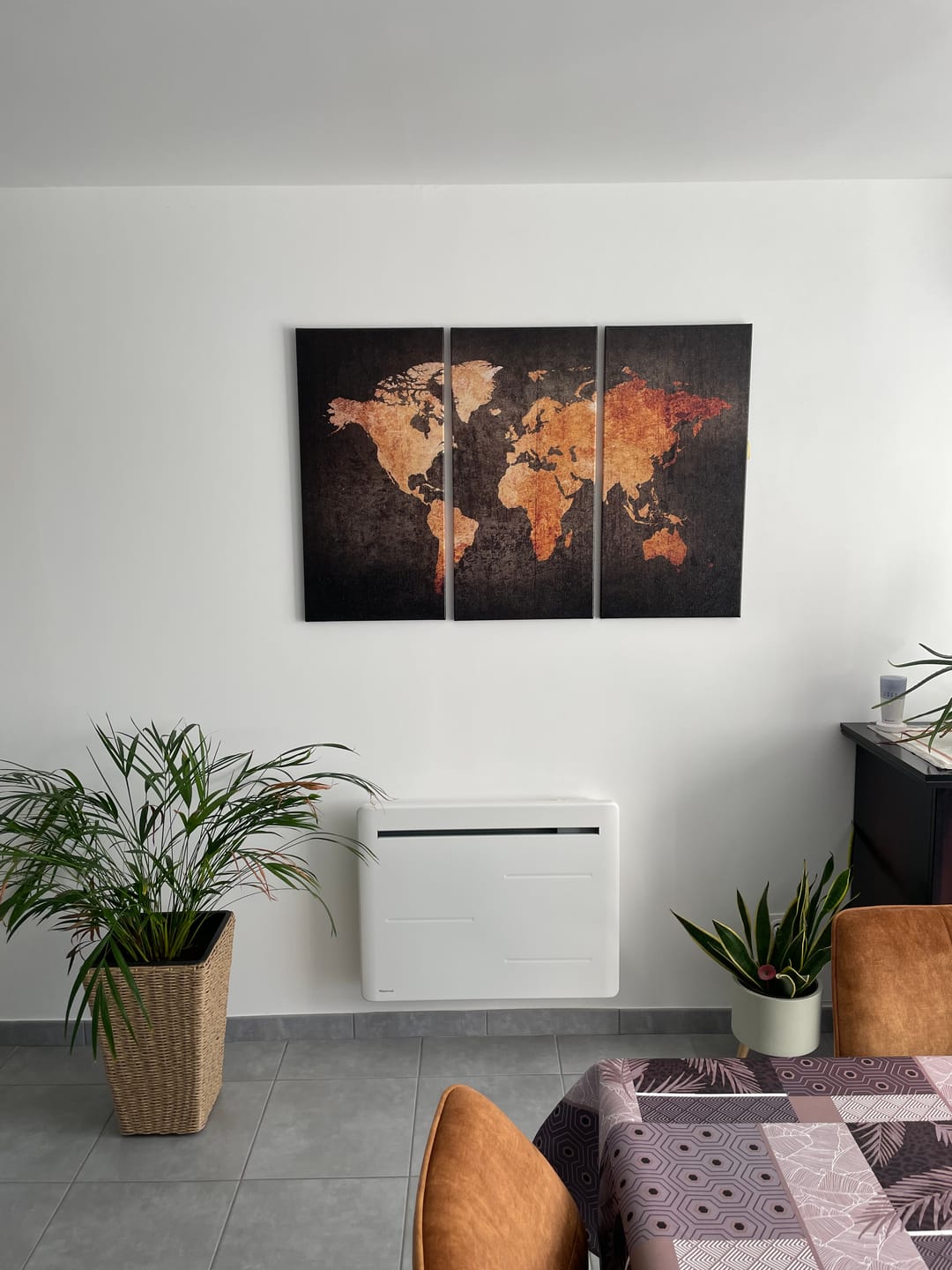 Customer photo review of Tableau Carte du Monde Moderne