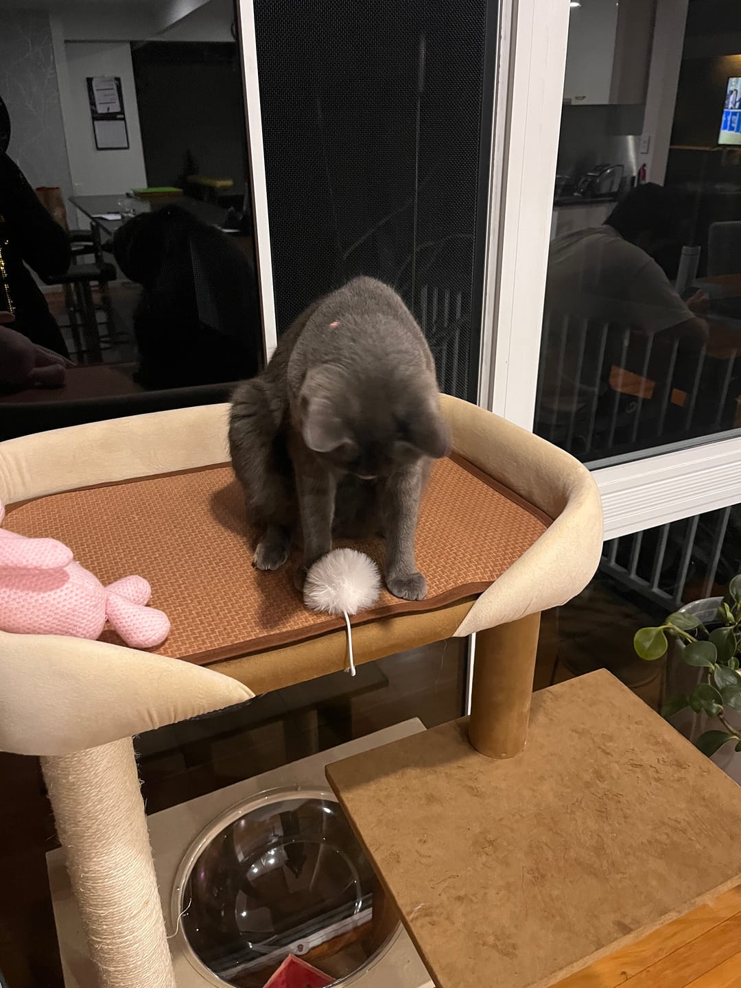 Customer photo review of Luxury Japanese-Style Cat Tree with Large Bed – 90906