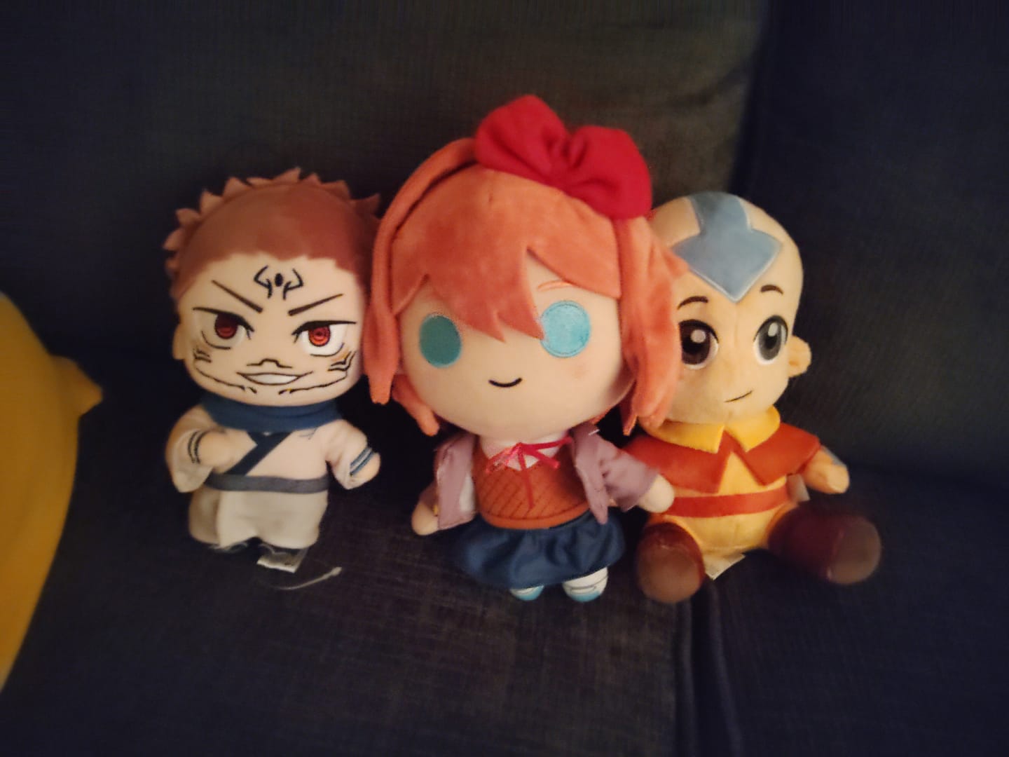 Customer photo review of Doki Doki Literature Club - Sayori Collector's Plush