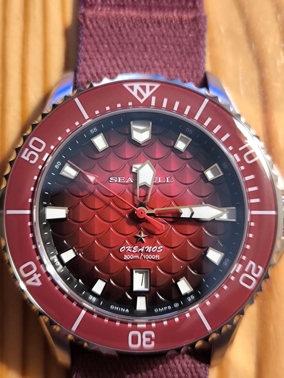Customer photo review of Ocean Series Pro "Dragon Kings of the Four Seas" Dragon-scale Dial 300m Waterproof Diving Watch 44mm