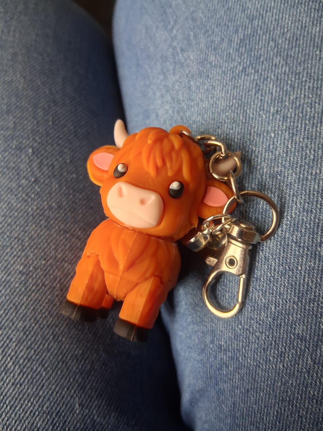 Customer photo review of 🐮A Little Highland Cow For You Keychain: Your Daily Reminder of Quiet Strength