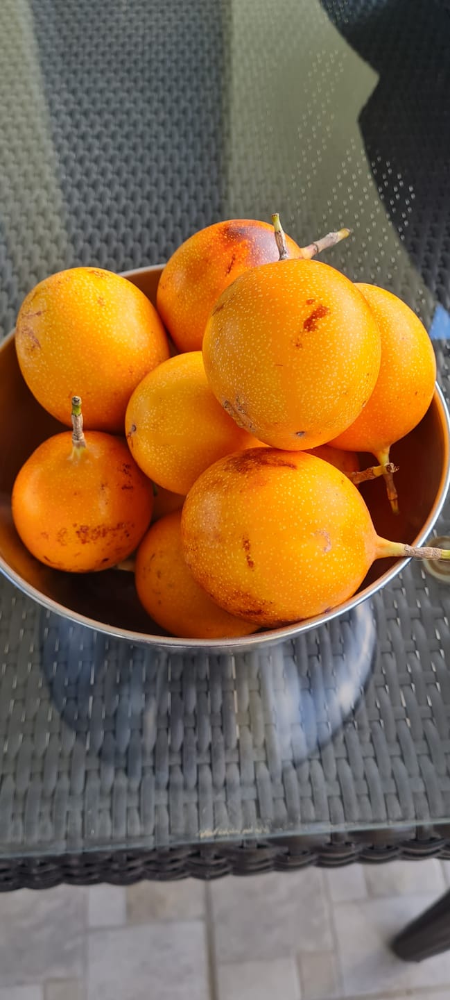 Customer photo review of Süße Granadilla Sonderaktion % 1,5kg