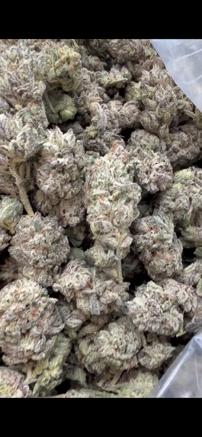 Customer photo review of Lions Cake - Bulk - Hybrid