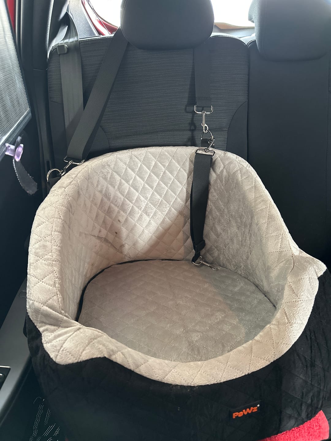 Customer photo review of Dog Car Booster Seat