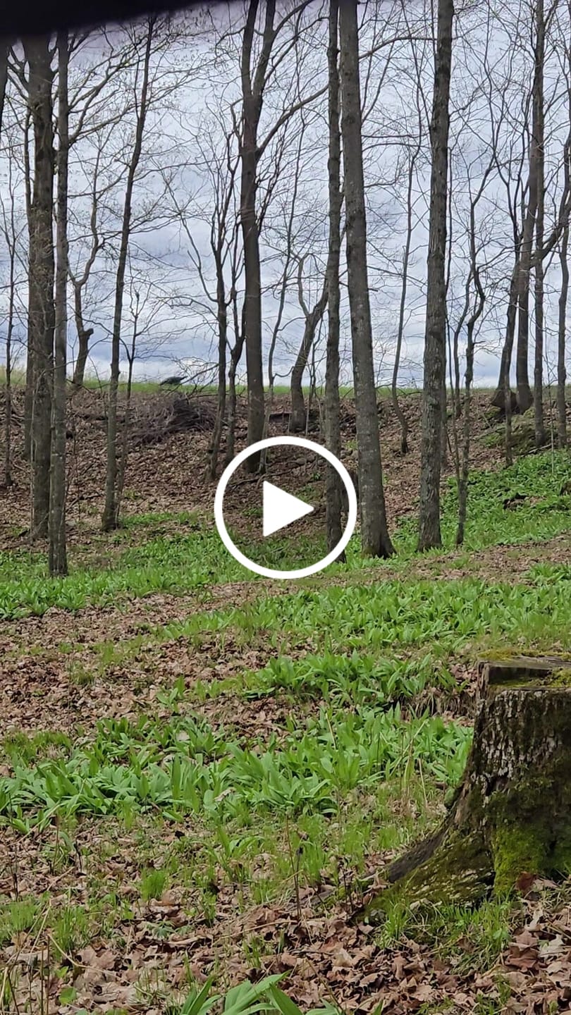 Customer video review of VisX/VisMax 270 Degree See Through Pop Up Hunting Blind