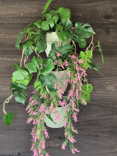 Customer photo review of Monstera Kunst Hangplant 95cm