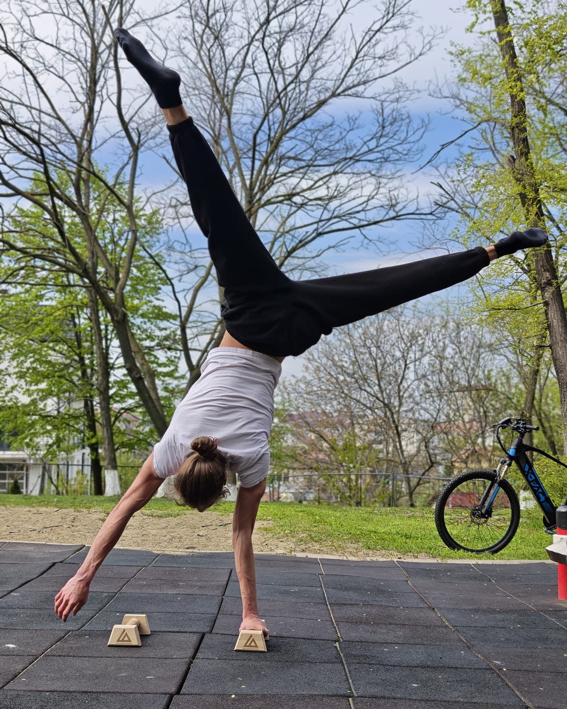 Customer photo review of Wooden Parallettes MINI